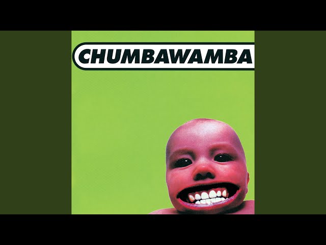 Chumbawamba - Drip, Drip, Drip