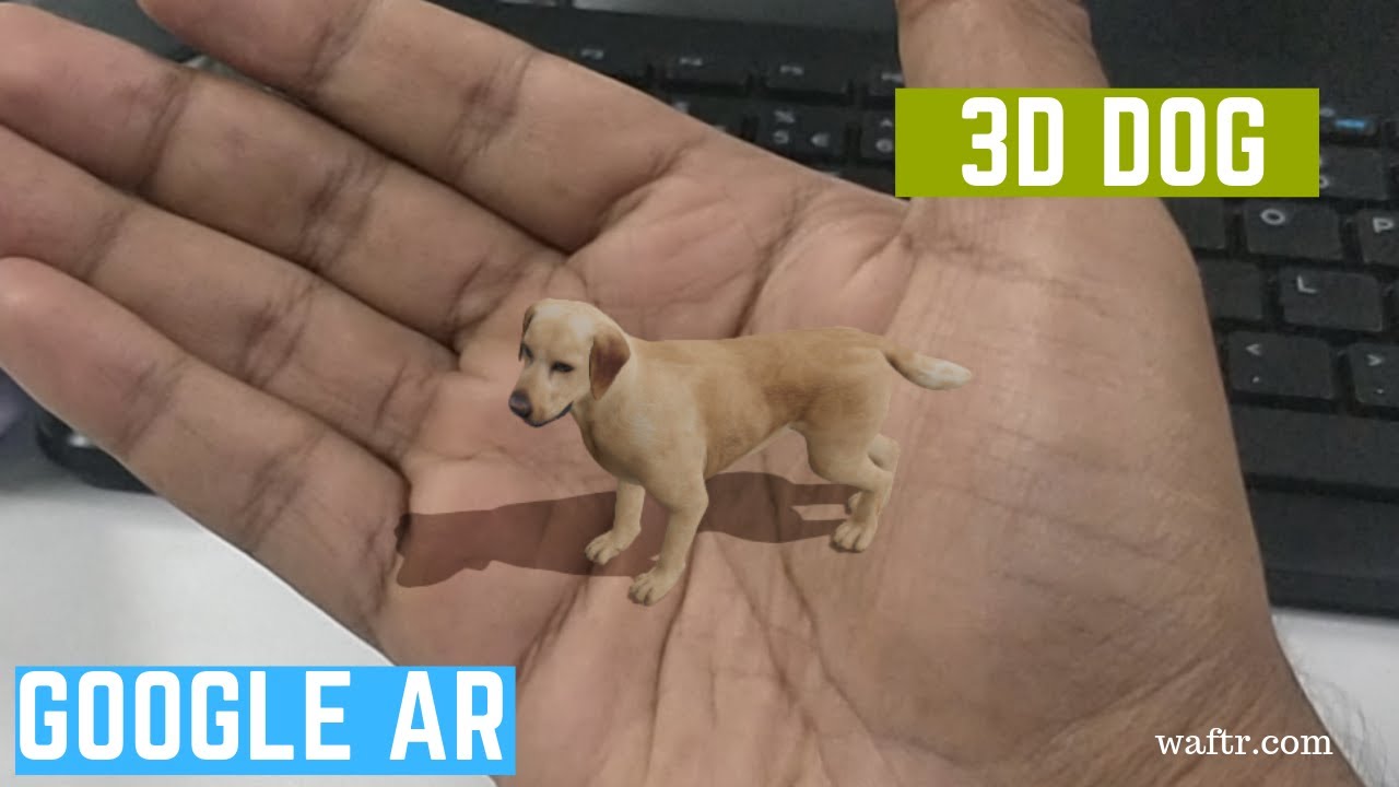 How To See 3D DOG In Mobile Google Search YouTube