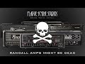 I'm Worried for Randall Amps' Future - Are They in Trouble?