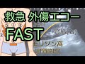 FAST 外傷エコー【看護師、研修医向け】