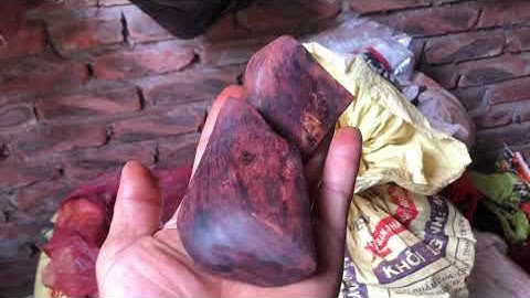 Cận cảnh cục gỗ sưa đỏ vài chăm tuổi