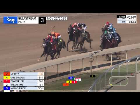 Gulfstream Park Replay Show November 22 2025