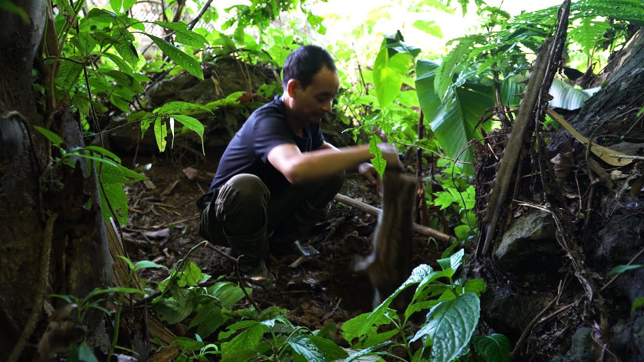 Dark omens have begun to visit | LIVING OFF THE GRID | Episode 84