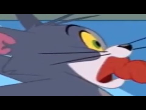 TOM SHOW SCREAMING!!!!!! (EARRAPE SCREAM R2D2)