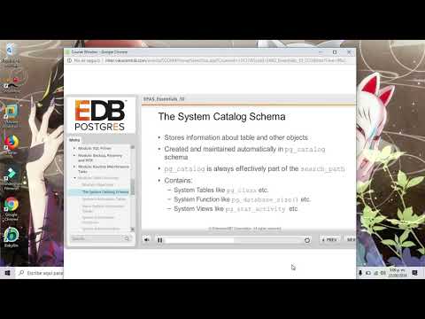 the system catalog schema