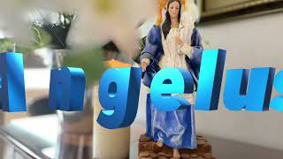 Angelus 