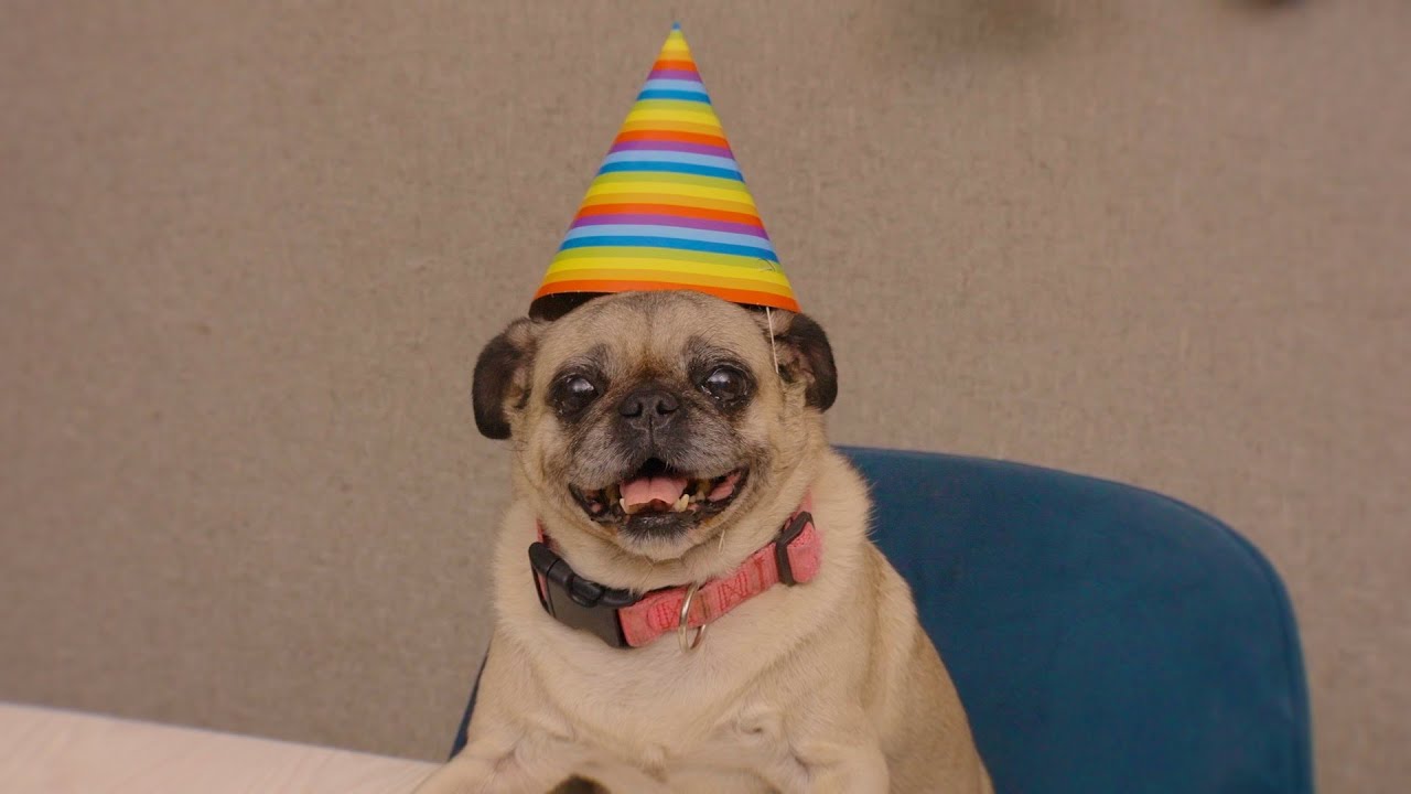 conchita cumplió 10 años - Beto Pasillas