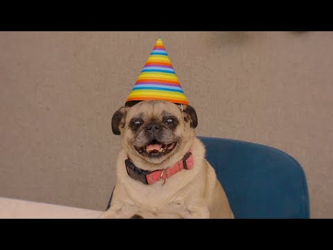 conchita cumplió 10 años - Beto Pasillas