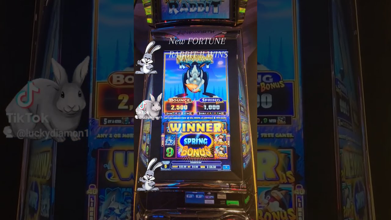 NEW GAME FORTUNE RABBIT  WINS!!! #prairiemeadowscasino #bonus #fortunerabbit #gambling