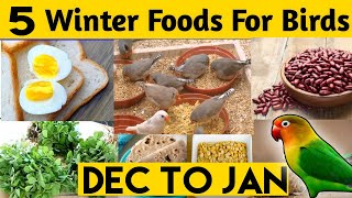 5 best winter food For Love Birds | Winter seed mix of love birds | Love bird @JseJahanzaib screenshot 5