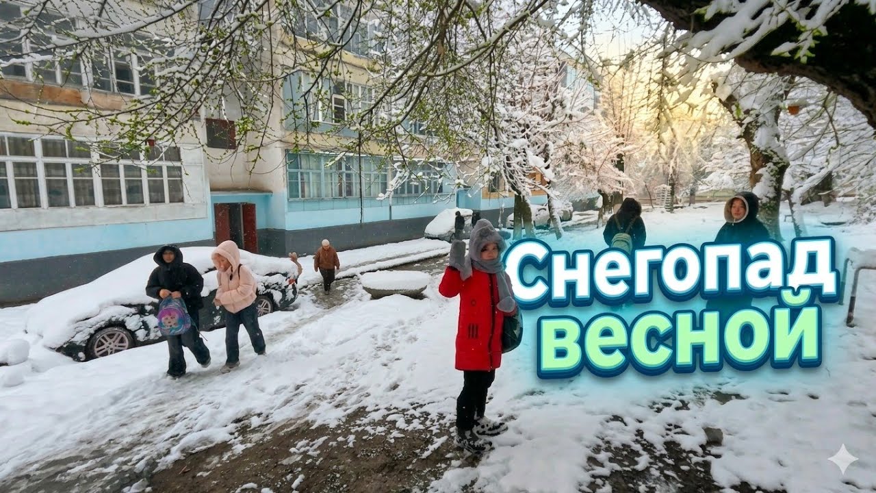 11 марта 2026 г.