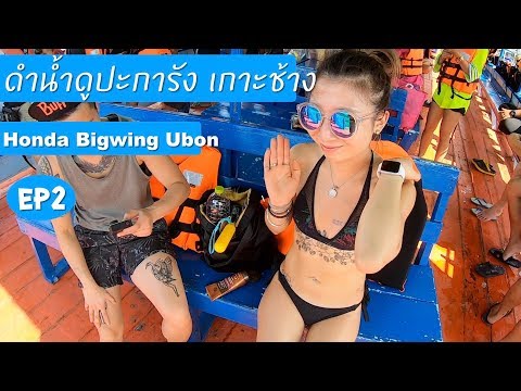 ทริปหนีร้อนไปดำน้ำเกาะช้าง EP2