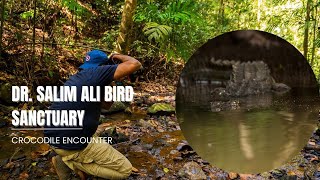 Discover Hidden Goa Secret Dr Salim Ali Bird Sanctuary