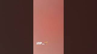 #funny #cat looking loop vi #viralvideo #quickybabytv #travel #travel #besties #viral #cartoon