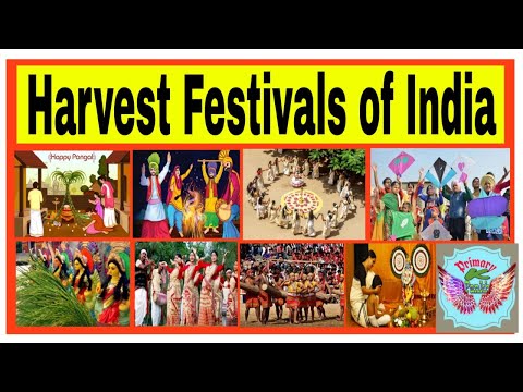 Video: Atraksionet e Festivalit Kerala Onam (me datat 2021)