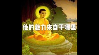201509 他的魅力来自于哪里21602