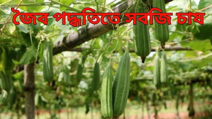 Ayollar uchun yashirin kamera Ayollar qamoqxonasidagi jinsiy aloqa fotosuratlari