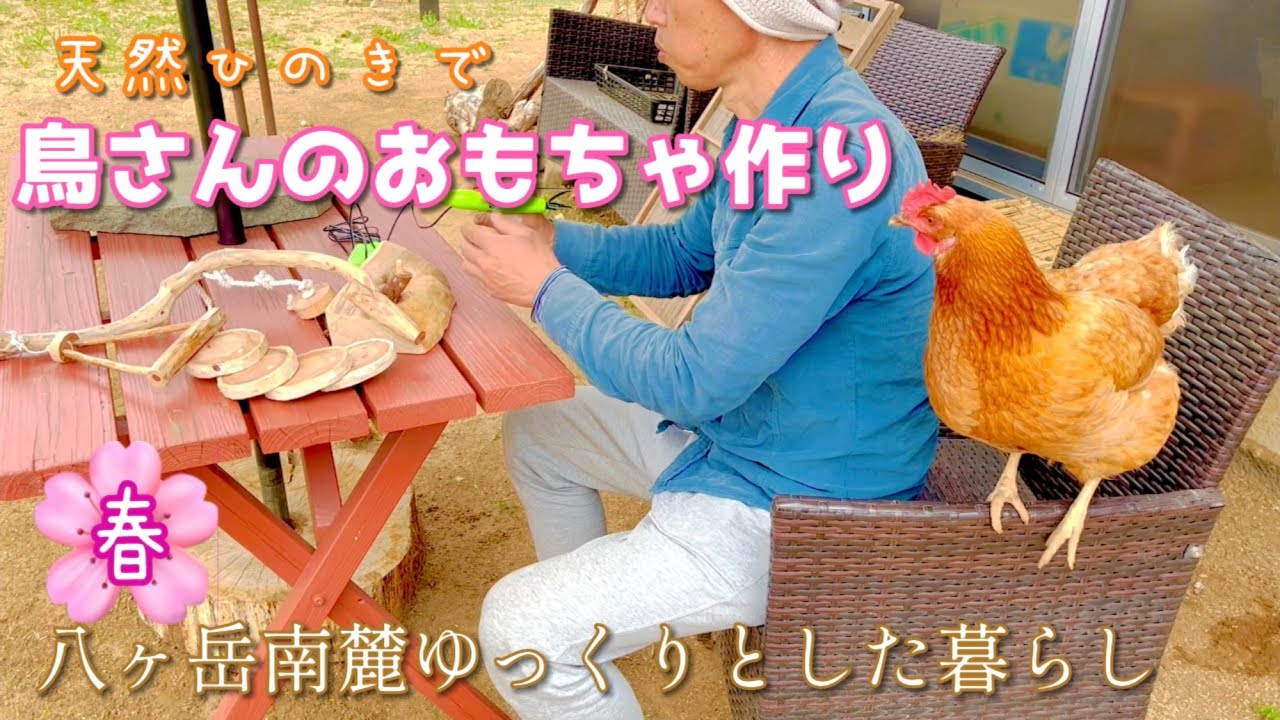 【春】八ヶ岳南麓の暮らし/天然素材でインコのおもちゃ/目から鱗のスパゲティの作り方/お庭の竹でガーデンパラソル修理
