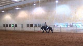 Napoleon Riding Video Napoleon Riding Video