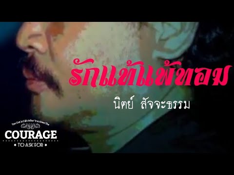 รักแท้แพ้ทอม - นิตย์ สัจจะธรรม