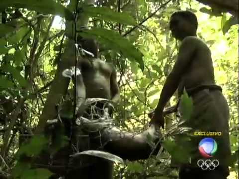 Vídeo: Por Que Os Pigmeus Na Selva São Tão Baixos? Uma Possível Explicação Para - Visão Alternativa