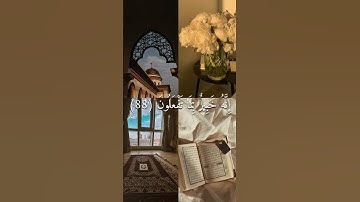 تلاوة هادئة 🎧🌿||أحمد النفيس