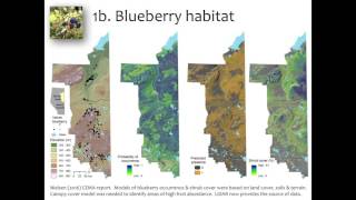 Scott Nielsen - Biodiversity & Ecosystem Characterization Using Lidar & Wet Areas Mapping