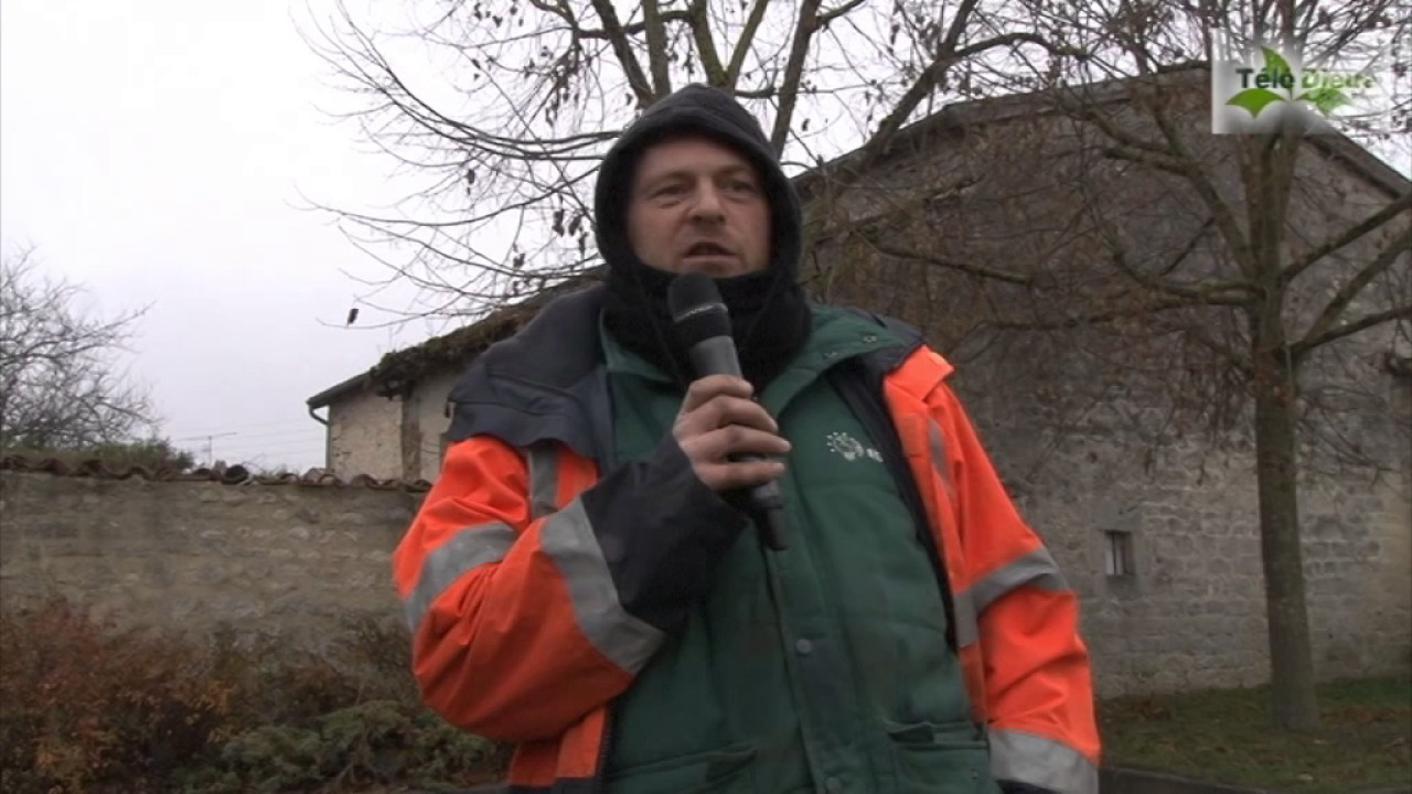 Installation des illuminations de Noël