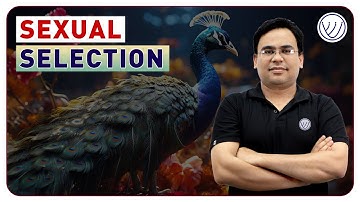 What is Sexual Selection? | Theory of Sexual Selection in Animal Behaviour | CSIR NET Life Science