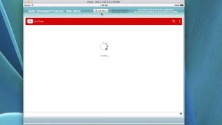 Sales Wholesale Products DB  -  Main Menu Screen screenshot 3