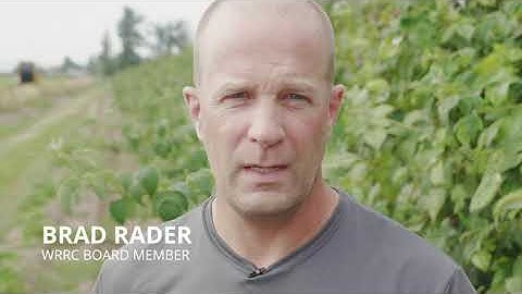 Washington Red Raspberry Harvesting & Processing Tour