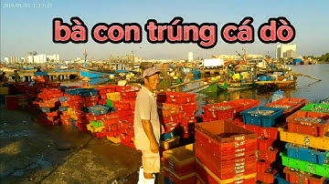 cảng thọ quang hôm nay được một ngày toàn là cá dò