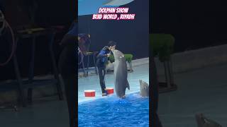 Dolphins show // tickets30  30= 60sr //Boulevard world Riyadh // BLVD Dolphinarium #dolphin