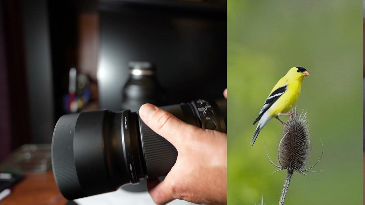 Tamron 150500 VS Sigma 100 400 Sony YouTube