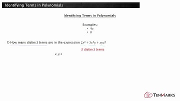 Identifying Terms in Polynomials  (A-SSE.1b)
