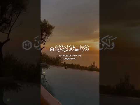 وإن ربك لذو فضل على الناس ولكن أكثرهم لا يشكرون سورة النمل القارئ سعد الغامدي