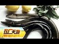 《农广天地》“鳗鳗”道来 20180708 | CCTV农业