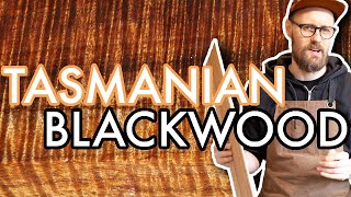 TASMANIAN BLACKWOOD - Acacia melanoxylon - Better than KOA??? Acoustic guitar tonewood comparison.