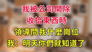 Download Lagu 我被公司開除,收拾東西時領導問我什麼崗位,我:明天你們就知道了#職場 #職場故事 #故事分享 #開除 #離職 #嘲諷 #反轉 MP3 Download Lagu 我被公司開除,收拾東西時領導問我什麼崗位,我:明天你們就知道了#職場 #職場故事 #故事分享 #開除 #離職 #嘲諷 #反轉 MP3