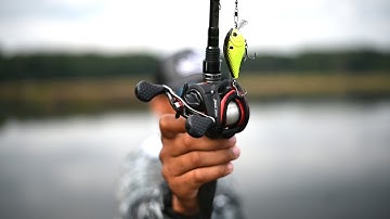 Crankbait around Wood for Bass: How to fish tips