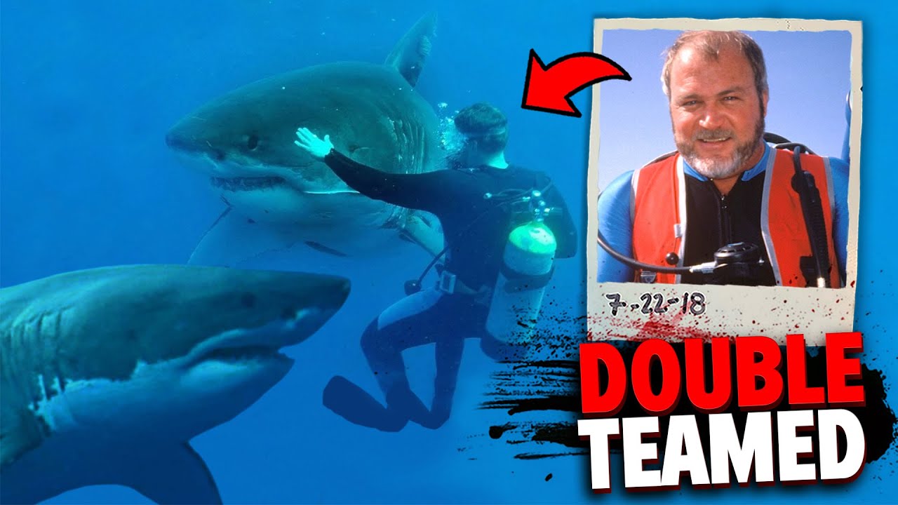 These 2 Sharks RIPPED a Diver Into PIECES in Front of His Friend! 