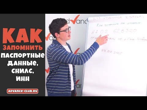 Как узнать фамилию по снилс физического лица