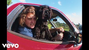 Skegss - Bush TV (Official Music Video)