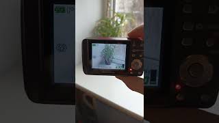 💥Camera RARE Dark Pink Olympus Mju M 600 6.0MP All Weather digital vintage compact💥WORKing CHEAP💥 💥Camera RARE Dark Pink Olympus Mju M 600 6.0MP All Weather digital vintage compact💥WORKing CHEAP💥