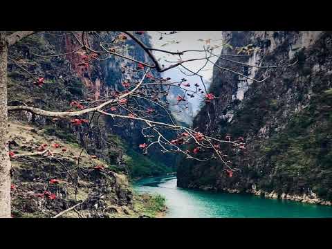 Bài 2: Địa hình và khoáng sản