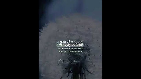 سورة الحج - الآية 18 Surah Hajj - Verse 18