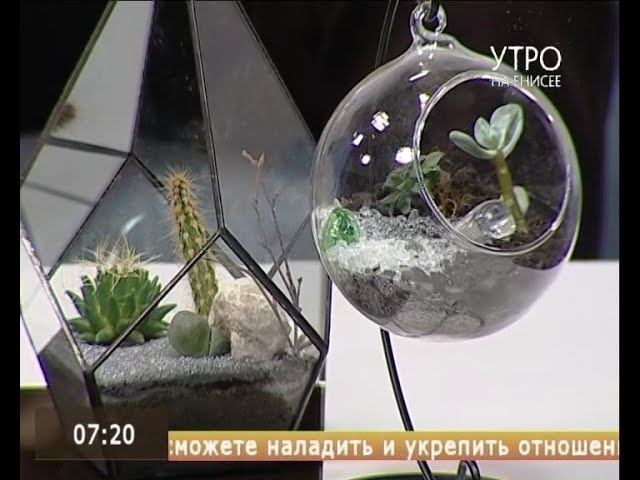 Флорариум: Принципы создания мини-сада