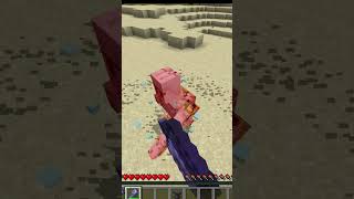 THE MACE JUST GOT NERFED!!!  #minecraft Net Worth