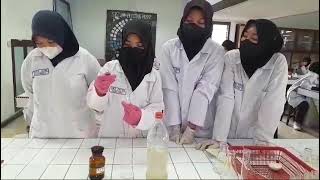 VIDEO MINI RISET KIMIA LINGKUNGAN PENELITIAN SUNGAI DELI