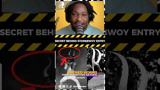 Secret Message Behind Stonebwoy Bhim Festival Entry